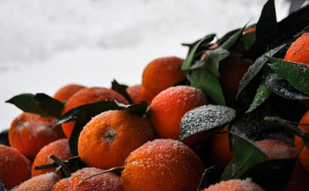 陕西渭南学健康管理师需要多少钱_哪家好