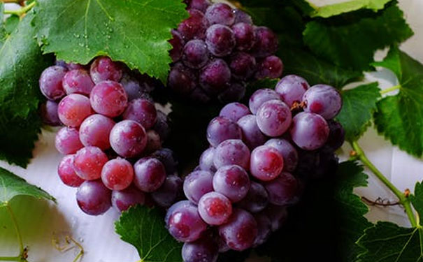 山西健康管理师报名多少钱