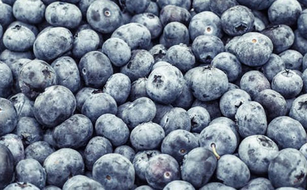 山东健康管理师培训机构排名