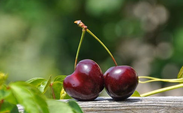 遵义健康管理师在哪里报名