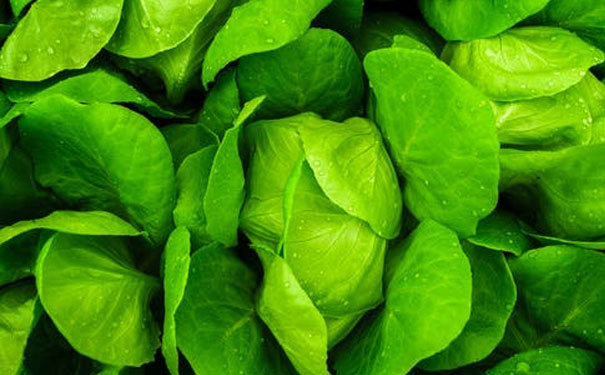 张掖健康管理师怎么报考