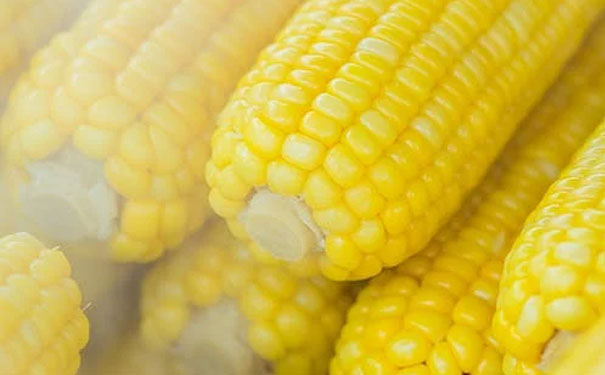 重庆健康管理师可以个人自己报名吗