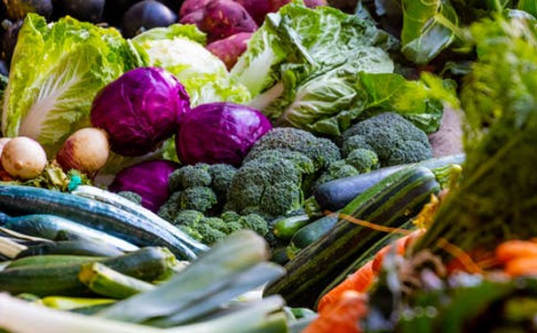 廊坊健康管理师培训机构有多少