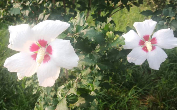 重庆万州区人力资源管理师培训班