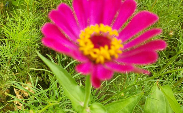 沧州人力资源管理师培训班 