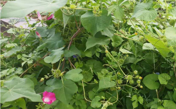 阳泉人力资源管理师培训班