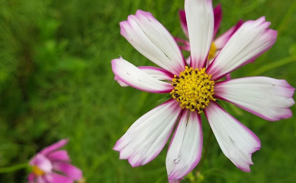 晋城人力资源管理师培训班 晋城人力资源管理师培训班