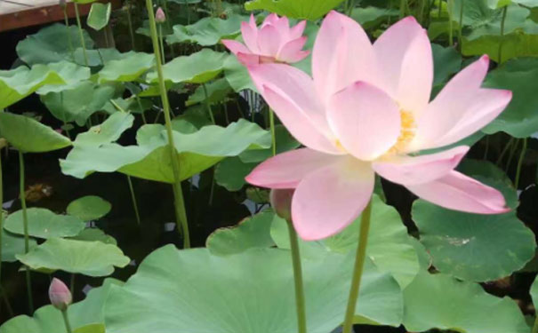 忻州人力资源管理师培训班 