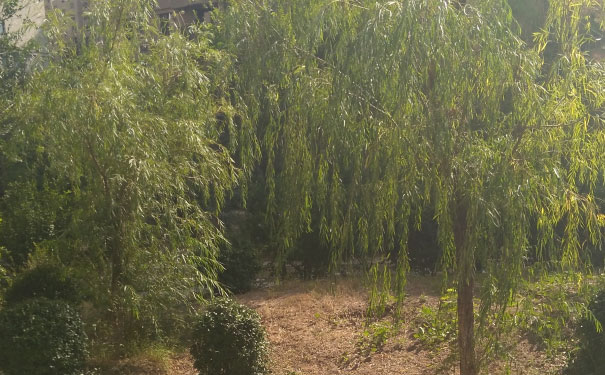嘉兴人力资源管理师培训班