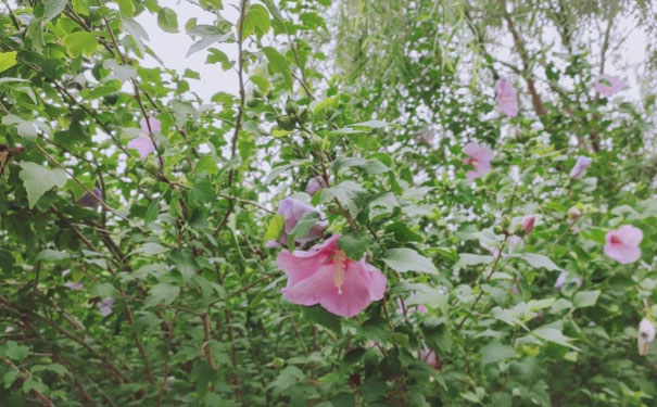 莆田人力资源管理师培训班 莆田人力资源管理师培训班