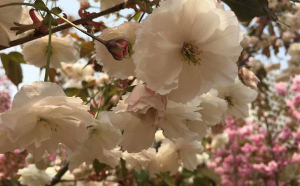 蚌埠人力资源管理师培训班