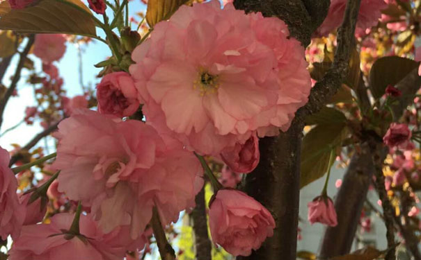 芜湖人力资源管理师培训班