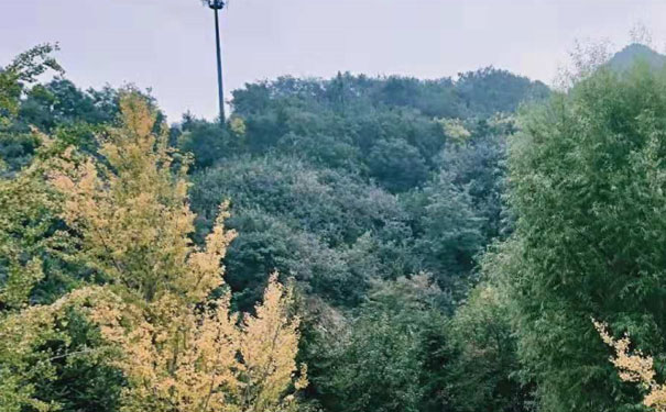 阜阳人力资源管理师培训班