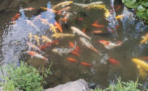 襄阳人力资源管理师培训班
