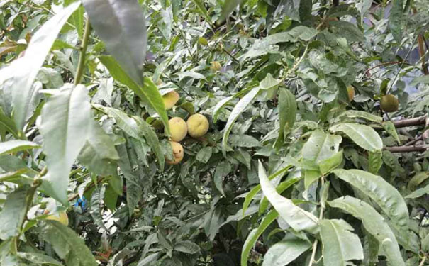 黄冈人力资源管理师培训班 