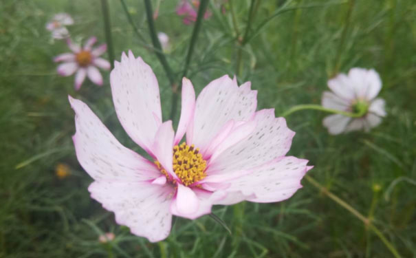 常德人力资源管理师培训班