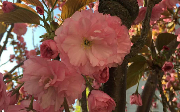 六盘水人力资源管理师培训班 