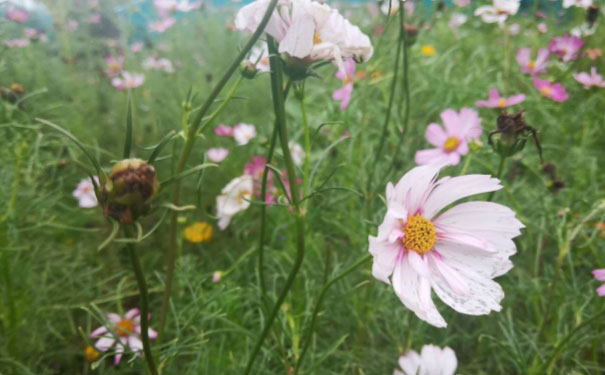 泸州人力资源管理师培训班