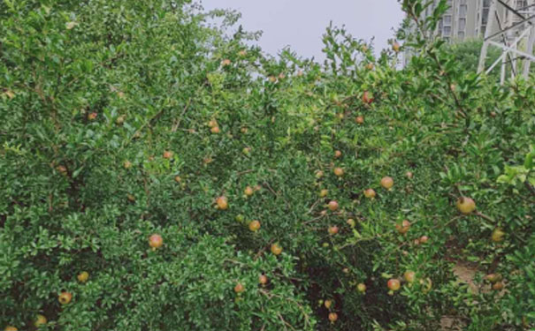 大理人力资源管理师培训班