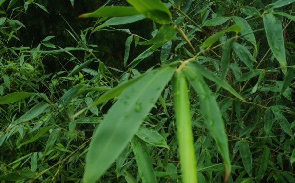 石嘴山人力资源管理师培训班 石嘴山人力资源管理师培训班