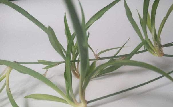 广州人力资源管理师培训班 广州人力资源管理师培训班