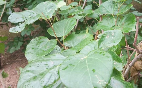 佛山人力资源管理师培训班 