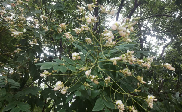 惠州人力资源管理师培训班