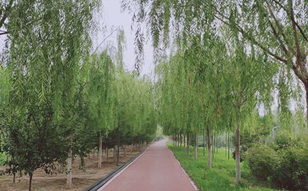 衡水心理咨询师培训班