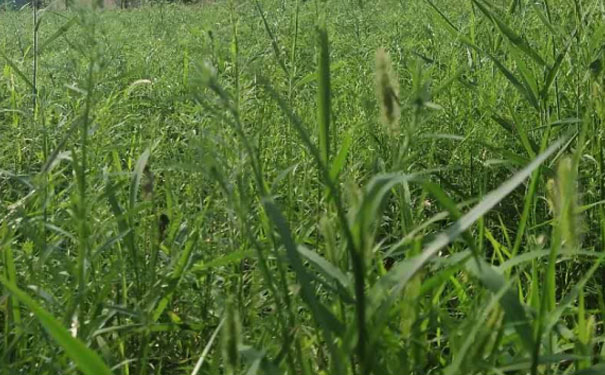 赤峰心理咨询师培训班