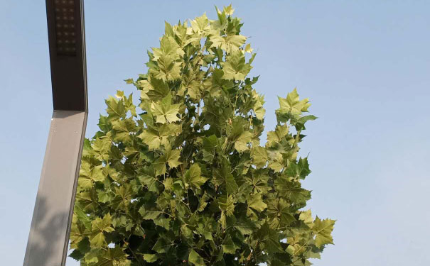 太原心理咨询师培训班