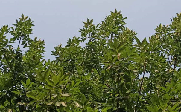 临汾心理咨询师培训班