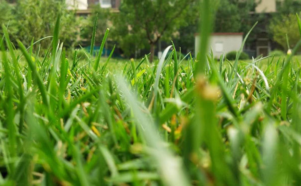 泰安心理咨询师培训班