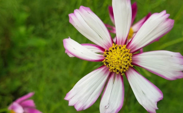 泰州心理咨询师培训班