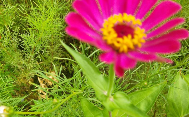 合肥心理咨询师培训班 