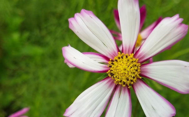 六安心理咨询师培训班