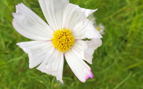 蚌埠心理咨询师培训班