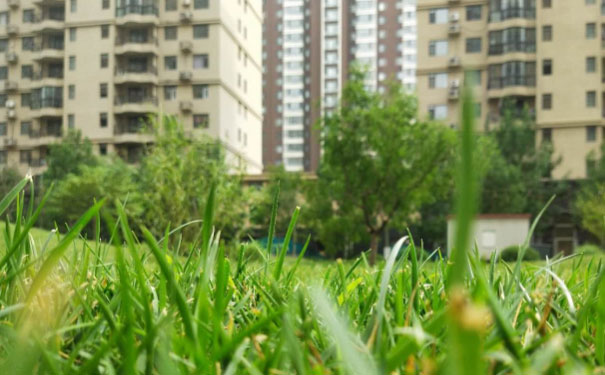 衡阳心理咨询师培训班