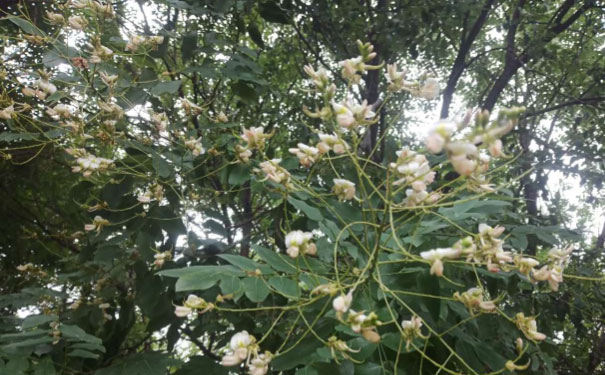 怀化心理咨询师培训班 怀化心理咨询师培训班