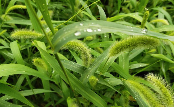 南充心理咨询师培训班