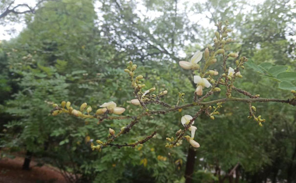大理心理咨询师培训班