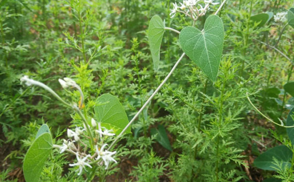 榆林心理咨询师培训班