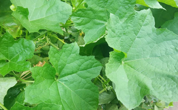 广元心理咨询师培训班