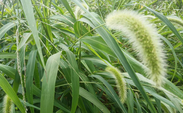 延安心理咨询师培训班 