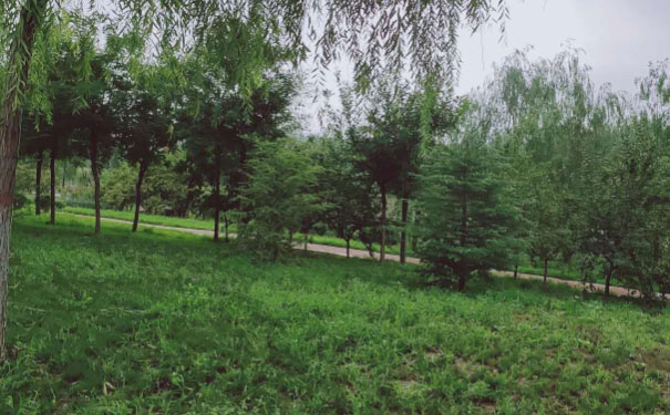 固原心理咨询师培训班 固原心理咨询师培训班