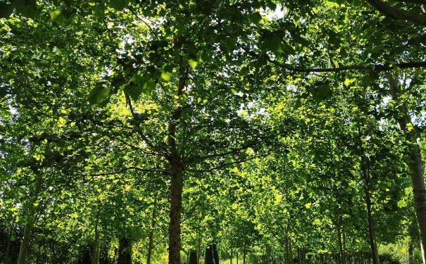 庆阳心理咨询师培训班 