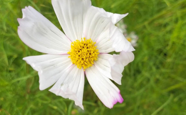 广州心理咨询师培训班 