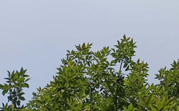 承德消防设施操作员培训班