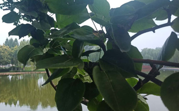 六安消防设施操作员培训班