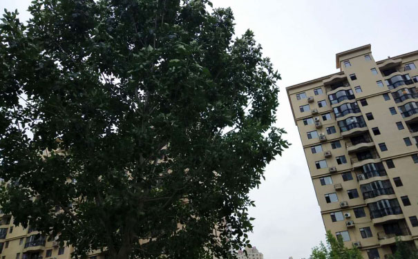 宿州消防设施操作员培训班