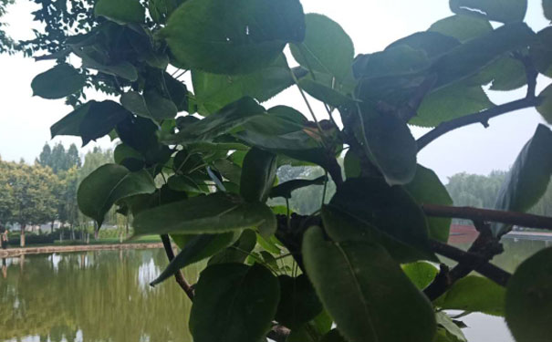 衡阳消防设施操作员培训班